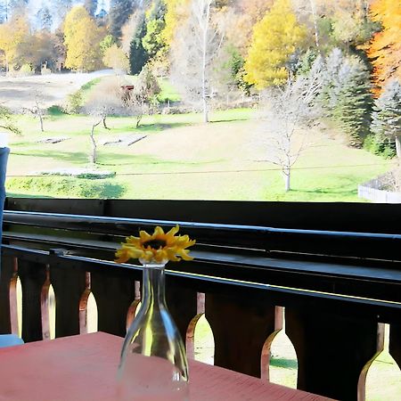 Haus Muehlgrund Lägenhet Bad Wildbad Exteriör bild