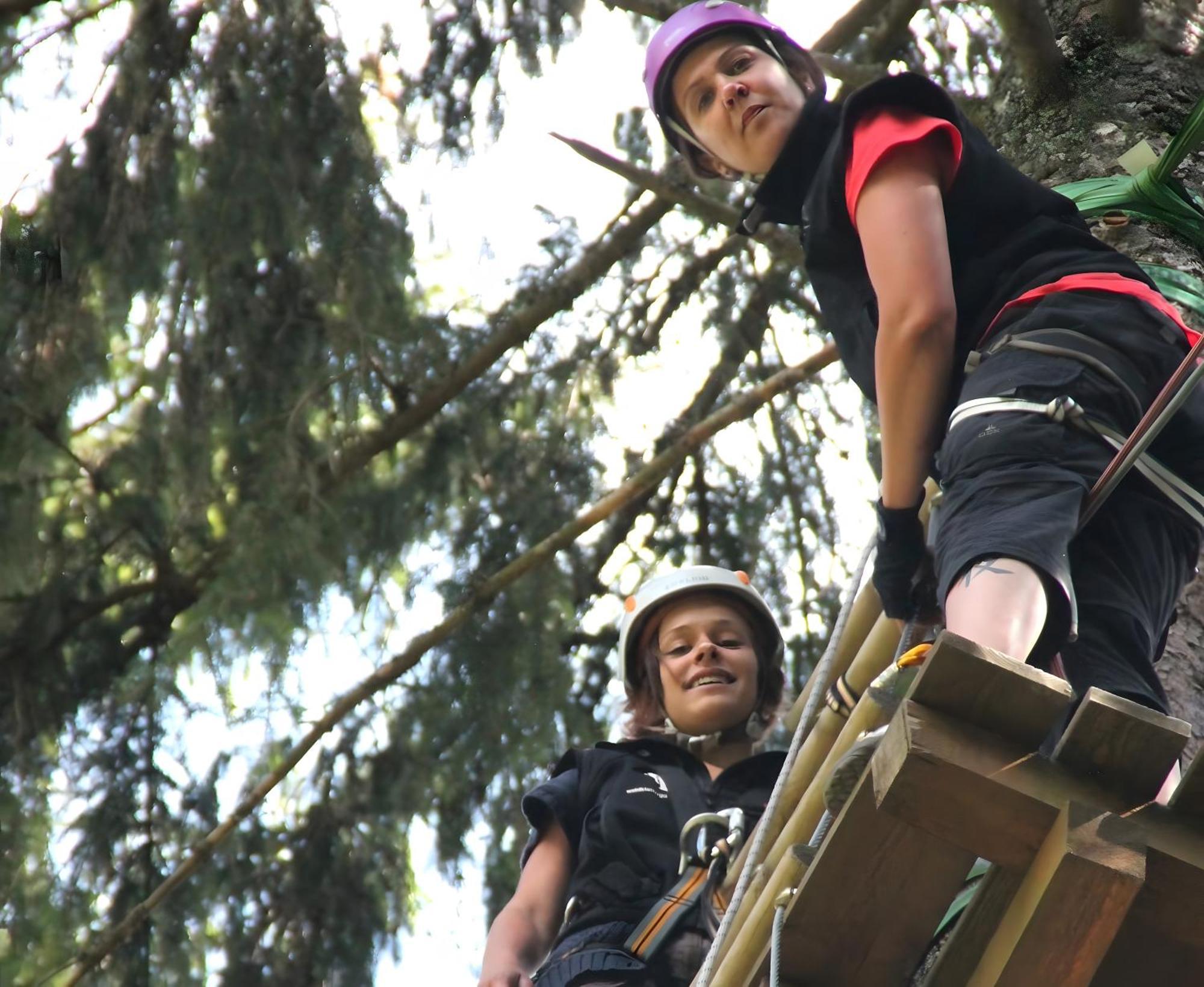 Haus Muehlgrund Lägenhet Bad Wildbad Exteriör bild