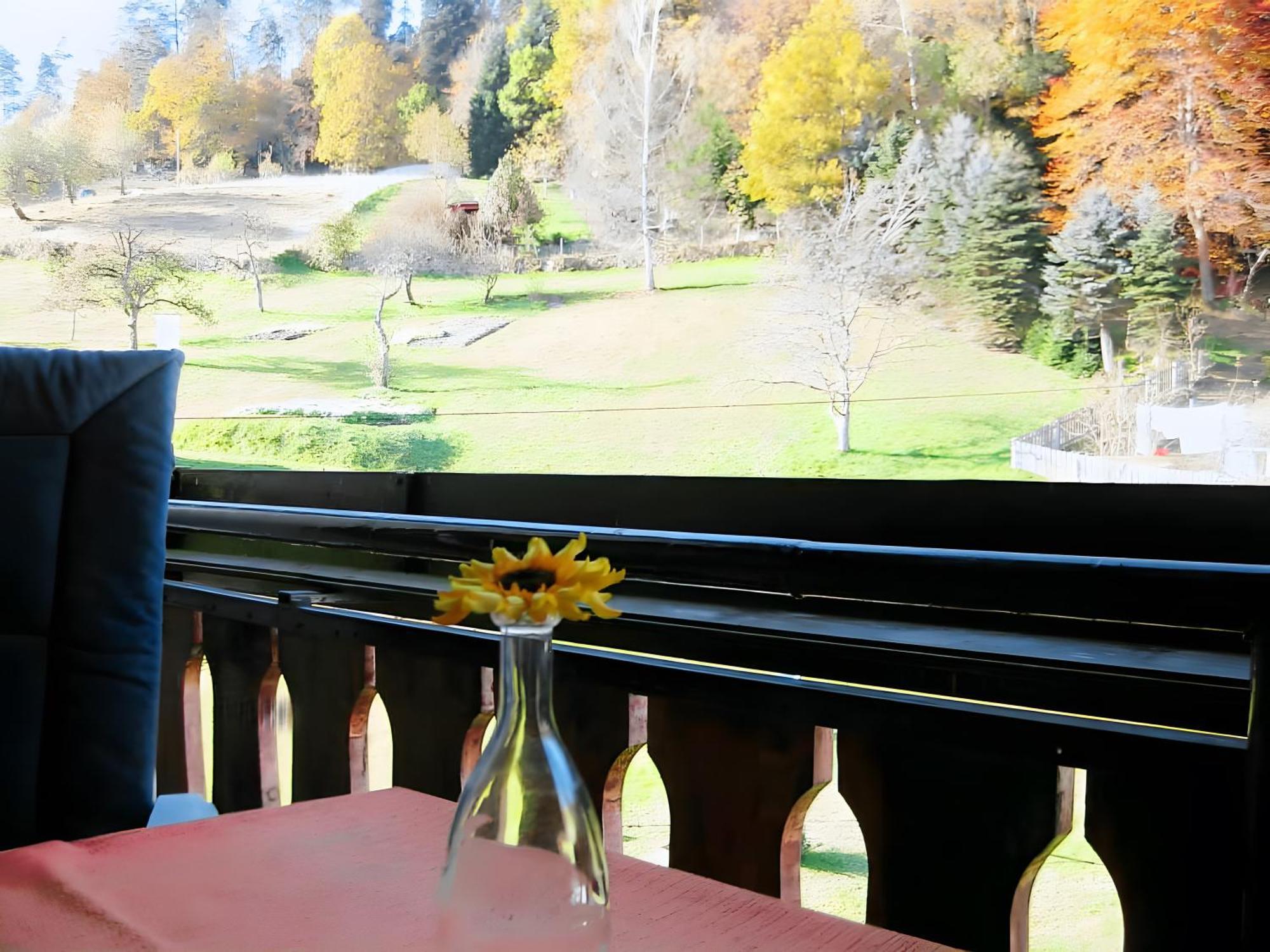 Haus Muehlgrund Lägenhet Bad Wildbad Exteriör bild