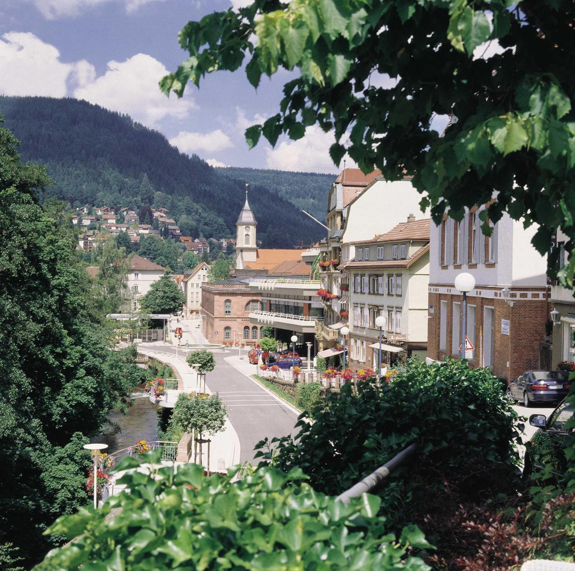 Haus Muehlgrund Lägenhet Bad Wildbad Exteriör bild