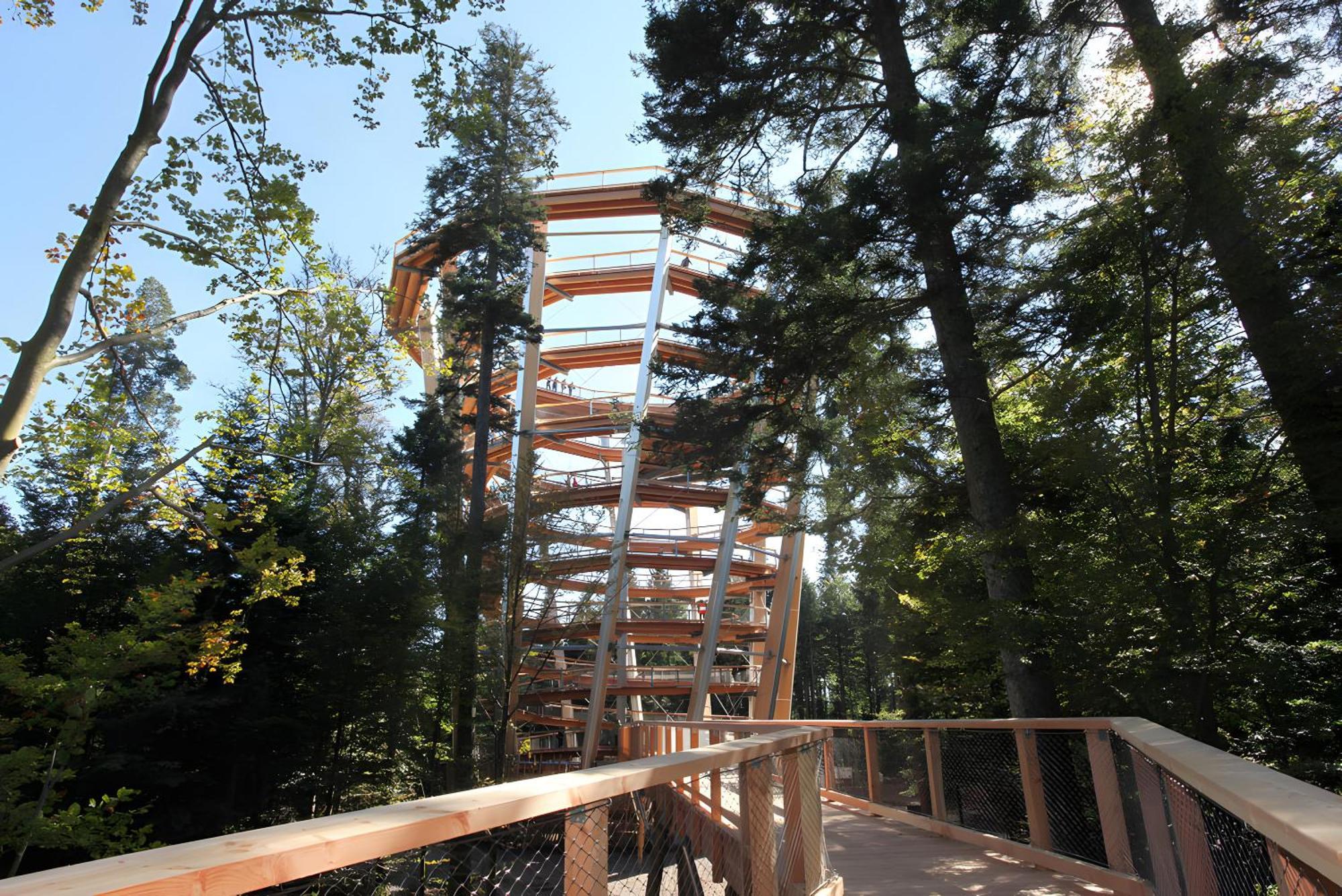 Haus Muehlgrund Lägenhet Bad Wildbad Exteriör bild